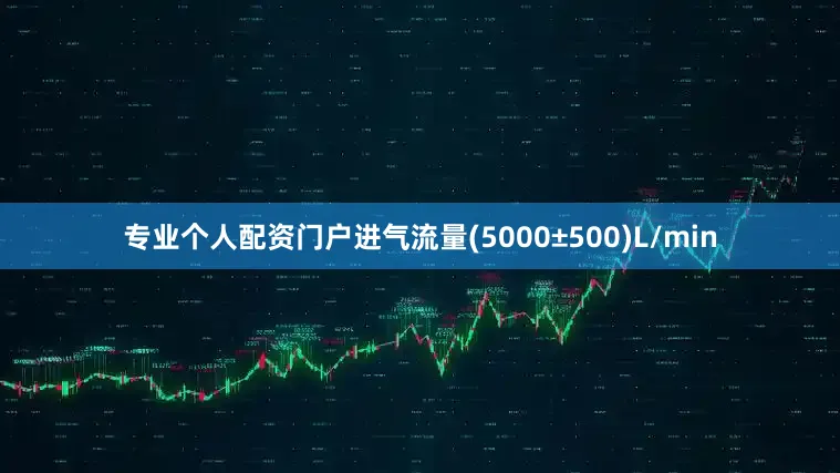专业个人配资门户进气流量(5000±500)L/min